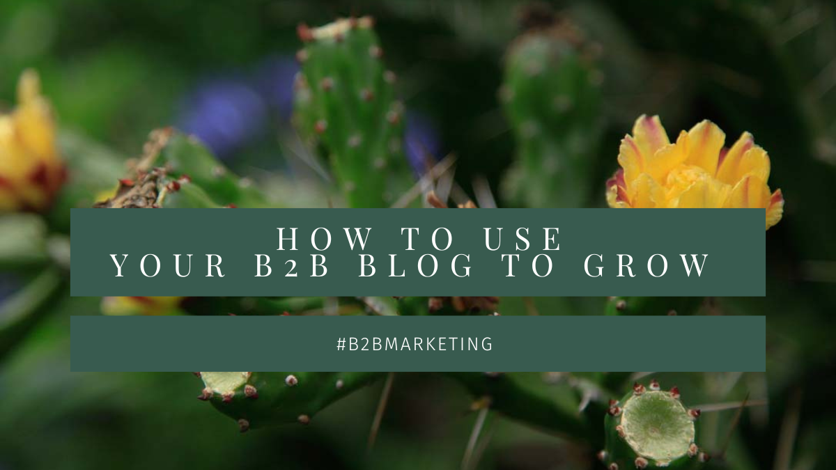 How to use your B2B blog to grow - text overlaid an image of a cactus blooming with a yellow flower