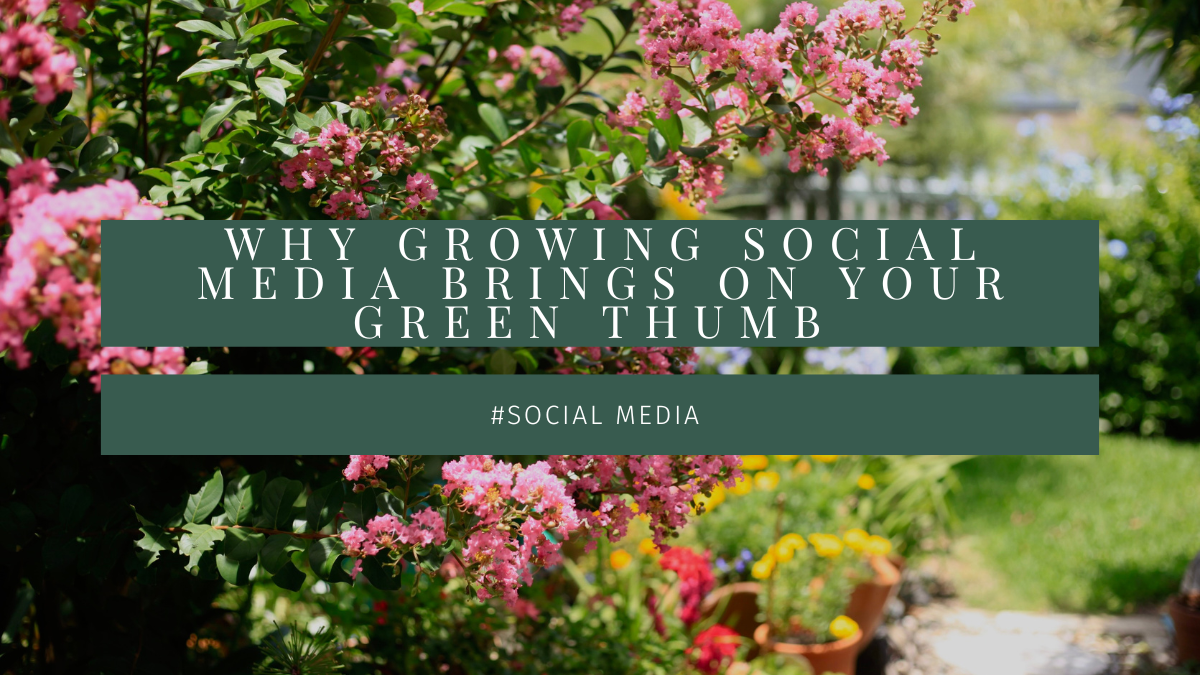 Why growing social media brings out your green thumb